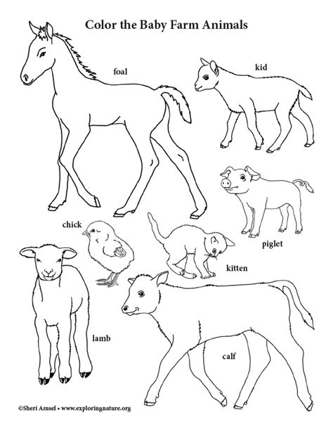 coloring pages farm animals   babies christop vrogueco
