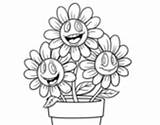 Coloring Pot Flower Sunflower Coloringcrew Flowers sketch template