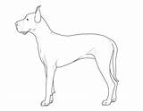 Dogge Hunde Ausmalbilder Ausmalbild Ausdrucken Hund Hunderassen Ausmalen Kostenlos Malvorlage Auswählen Malvorlagen Schlafende sketch template