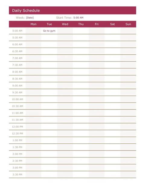hourly planner templates  word excel  formats