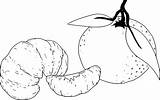 Mandarina Mandarinas Mandarino Frutta Dibujosfaciles sketch template