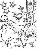 Coloring Freshwater Birds Designlooter Kiwi Spotted Great sketch template