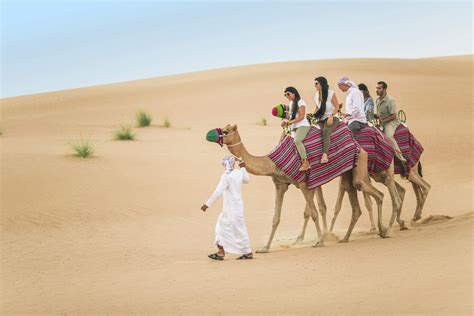 dubai desert camel safari  book ticketstodo