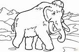 Coloring Mammoth Pages Walking Drawing Printable sketch template