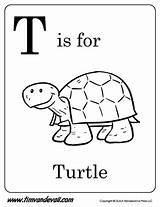 Turtle Timvandevall Alphabet Pdf sketch template