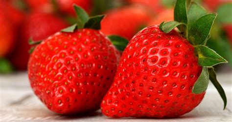 strawberry patent infringement case turns sour for driscoll s