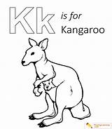 Kangaroo Dxf sketch template