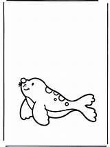 Foca Seehund Zeehond Phoque Animales Kleurplaat Selo Pequeno Dieren Desenhos Nukleuren Pequeña Pequena Anzeige Coloriages Animaux Publicidade Advertentie Publicité Jetztmalen sketch template
