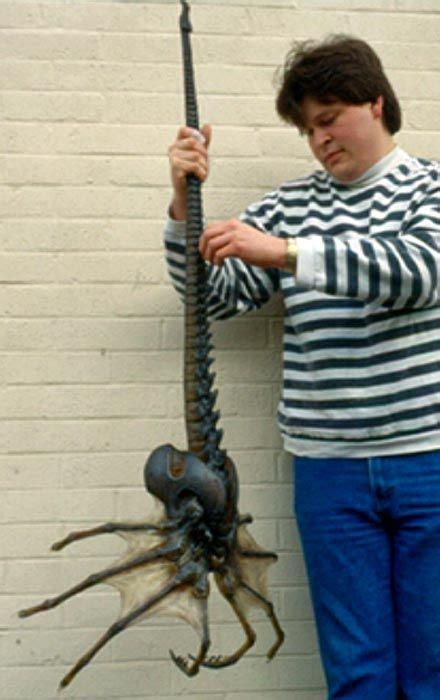 Scientists Recently Discovered The Body Of A Giant Sea Spider Like