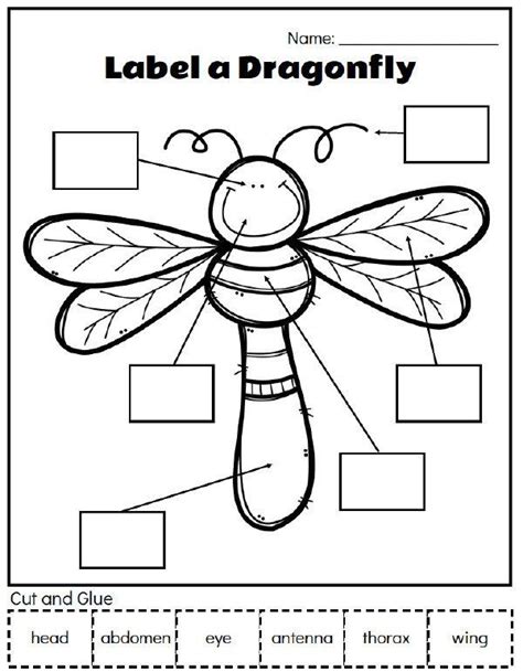 bugs worksheet  kids picture matching preschool worksheets bugs