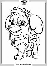 Patrol Worksheet Skye Ausmalbilder Canina Marshall Patrulha Acessar Colorir sketch template