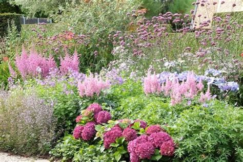 de mooiste borderplanten mijntuinorg tuin voortuin bloemen planten