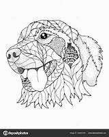 Retriever Coloriage Zentangle Imprimer Labrador Mandala Erwachsene Ausmalbilder Dessin Hond Mandalas Hunde Stipple Ladybug Vettore Nello sketch template