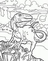 Velociraptor Coloring Dinosaur Pages Kids sketch template