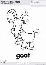 Coloring Goat Pages Super Farm Animal Worksheets Simple Animals Learning Kids Flashcard Supersimple Flash Book Songs Printables Choose Board Supersimplelearning sketch template
