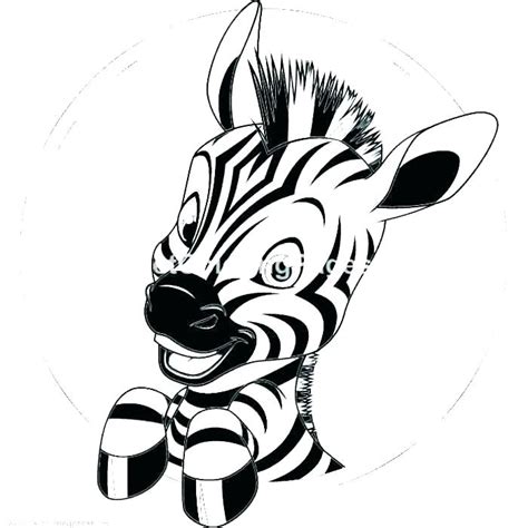 cute baby zebra drawing    clipartmag