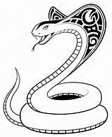 Serpente Cobra Serpent Serpiente Tatouage Tatuaggio Tatuering Tribale Stam Cobras Vecteur Animais sketch template