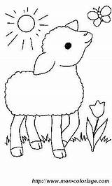 Colorat Ovelhas Mouton Oi Schafe Oveja Lamb Animale P09 Perdida Desene Schaf Planse Ausmalbilder Primiiani Moutons Copii Browser Colorare Ligne sketch template