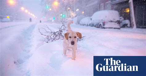 Storm Filomena Causes Rare Heavy Snow In Spain In Pictures Weather