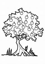 Apfelbaum раскраска K5worksheets Colouring Fall детей дерево деревья для раскраски sketch template