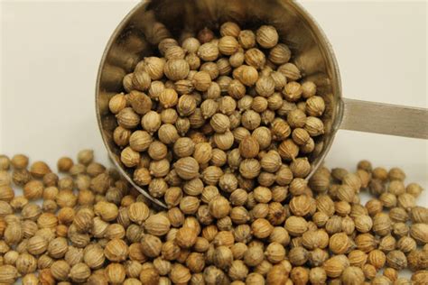 coriander seed stuarts spices