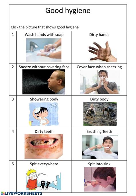 good hygiene interactive worksheet personal hygiene practices