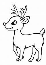 Rudolph Reindeer Reno Nosed Rentier Renos Momjunction Tulamama Malvorlagen sketch template