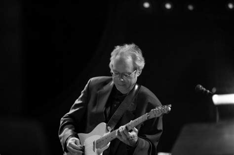 bill frisell marc ribot nels cline shahzad ismaily late show june
