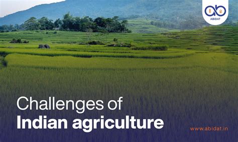 blog challenges  indian agriculture abidat