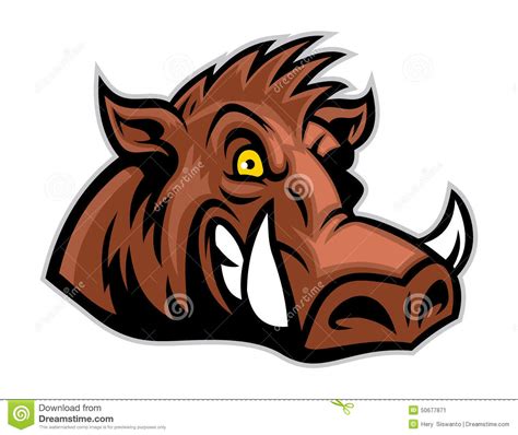 wild hog head stock vector image