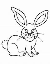 Rabbit Kaninchen Ausmalbilder Diwarnai Kelinci Ausmalbild Sketsa Kostenlos Lucu Hitam Hmcoloringpages sketch template