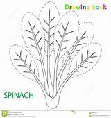 Spinach Coloring Drawing Book Illustration Vegetable Preview Kids sketch template