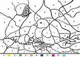 Color Coloring Number Numbers Pages Adult Nest Adults Kids Bird Birds Worksheets Print Online Birdnest Hellokids Girls sketch template