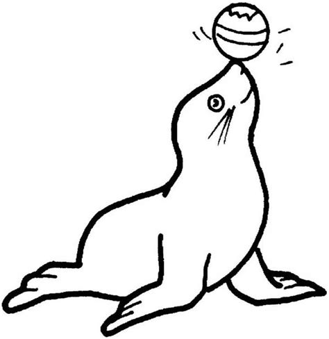 dolphin coloring pages cool coloring pages coloring pages  print