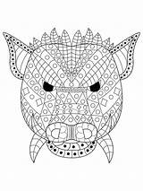 Boar Wild Head Vector Angry Adults Coloring Razorback Hog Pig Illustration Mascot sketch template
