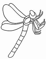 Dragonfly Owady Kolorowanki Kolorowanka Attractive Druku sketch template