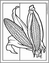Coloring Corn Thanksgiving Pages Fall Ears Cob Print Two Fun Colorwithfuzzy Offsite Commission Associate Links Amazon Through Small Make May sketch template