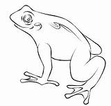 Frog Toad Frogs Colorat Ranas Frosch Sapos Broasca Templates Kolorowanki Ropucha Broscute Lac Broaste Ausmalbilder Broscuta Dla Ausmalbild Planse Sfatulmamicilor sketch template