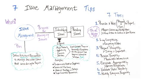 steps   issue management projectmanagercom