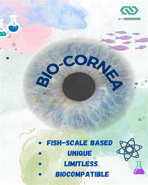 development  bio cornea   sources fish scale based