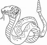 Coloring Snake Viper Pages Getcolorings Printable Color Kids sketch template