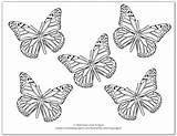 Butterflies Monarch Onelittleproject sketch template
