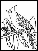 Coloring Cardinal Pages Printable Bird Publications Dover Audubon Doverpublications Getdrawings Getcolorings Color sketch template
