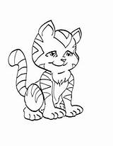 Pisica Planse Colorat Desene Animale Gatti Disegni Pisici Imagini Trafic Educative Imaginea sketch template