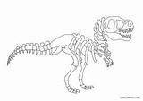 Dinosaur Dinozaur Szkielet Kolorowanka Druku Kolorowanki Cool2bkids sketch template