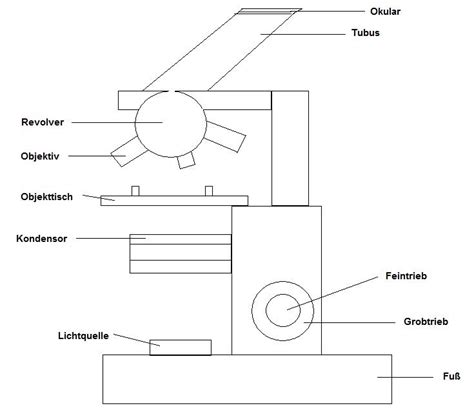 das lichtmikroskop