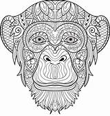 Coloring Chimpanzee Pages Adult Monkey Colouring Animal Sheets Mandala Printable Adults Books Visit Sheet Choose Board sketch template