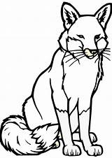 Fox Coloring Pages Easy Draw Drawing Printing sketch template