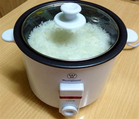 lias food journey mini rice cooker