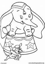 Elefante Dumbo Colorir sketch template